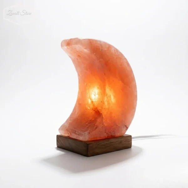 Half Moon Shaped Himalayan Pink Salt Lamp