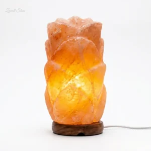 Long Flower Shaped Himalayan Pink Salt Lamp – 220V Natural Crystal Lamp (2–3 KG)