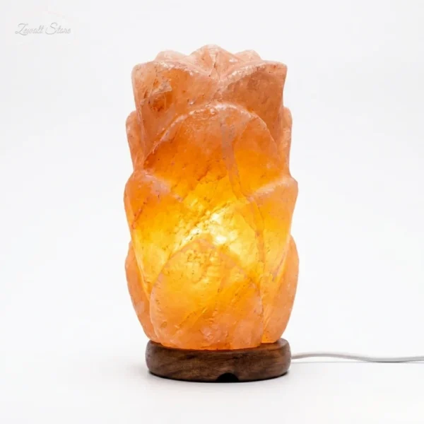 Long Flower Shaped Himalayan Pink Salt Lamp – 220V Natural Crystal Lamp (2–3 KG)