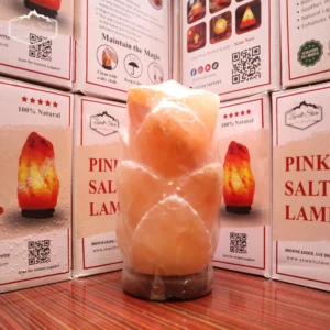 Long Flower Shaped Himalayan Pink Salt Lamp – 220V Natural Crystal Lamp (2–3 KG)