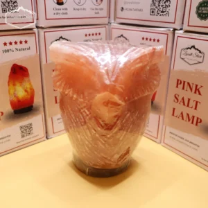 Owl Shaped Himalayan Pink Salt Lamp