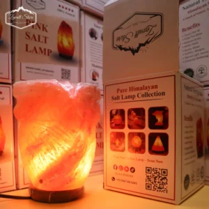 Owl Shaped Himalayan Pink Salt Lamp – 220V Natural Crystal Lamp (2–3 KG)