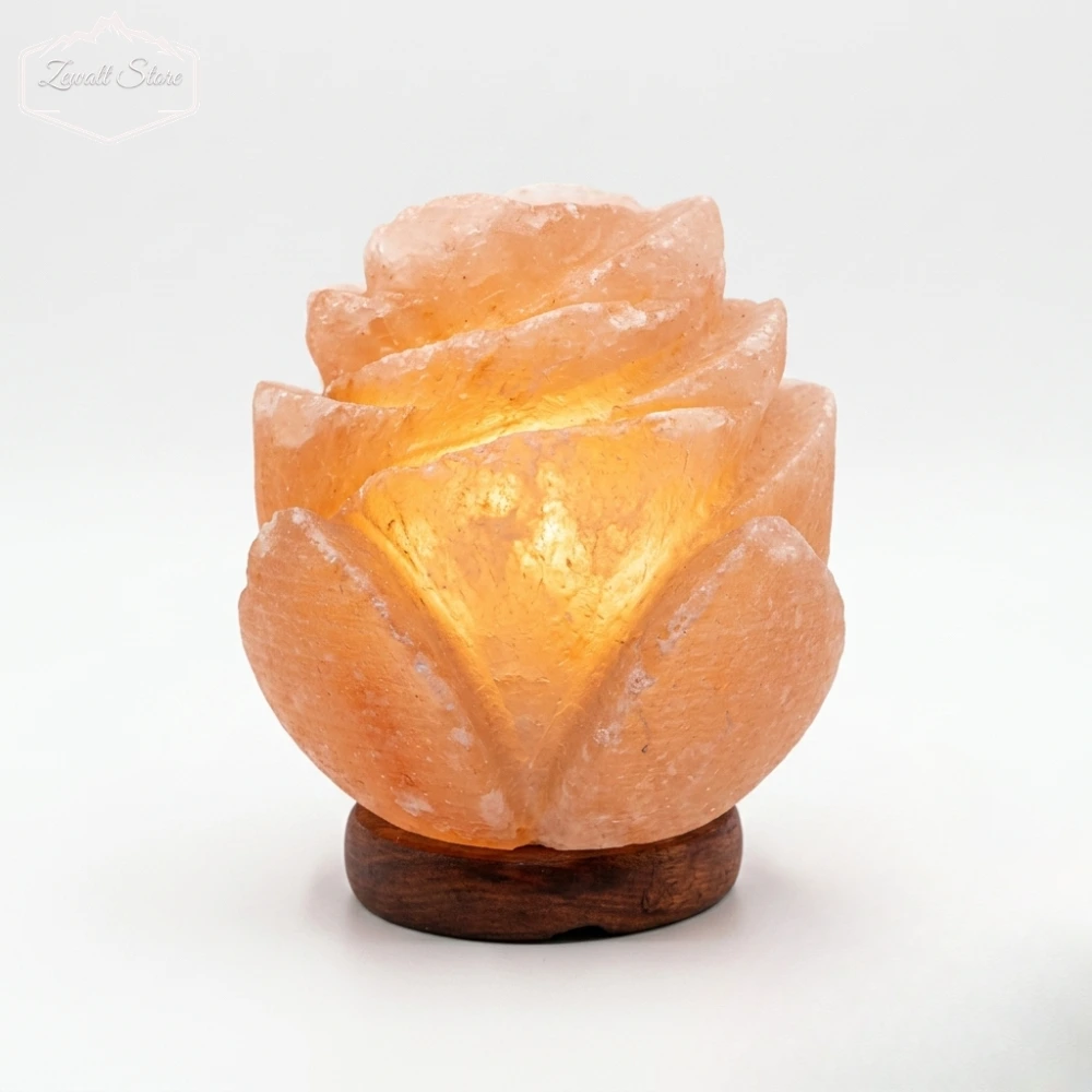 Flower Shaped Himalayan Pink Salt Lamp – 220V Natural Crystal Lamp (2–3 KG)