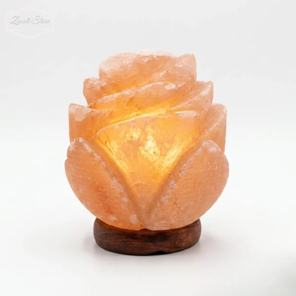 Flower Shaped Himalayan Pink Salt Lamp – 220V Natural Crystal Lamp (2–3 KG)