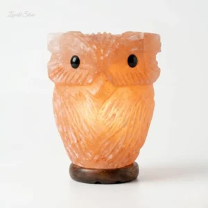 Owl Shaped Himalayan Pink Salt Lamp – 220V Natural Crystal Lamp (2–3 KG)