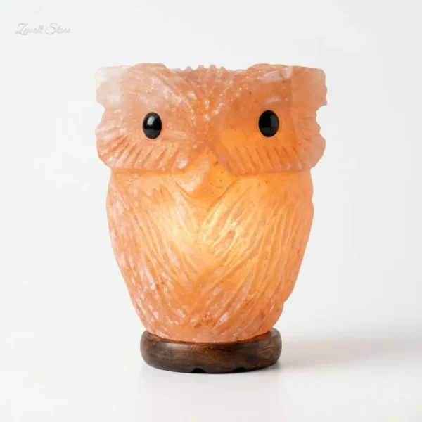 Owl Shaped Himalayan Pink Salt Lamp – 220V Natural Crystal Lamp (2–3 KG)