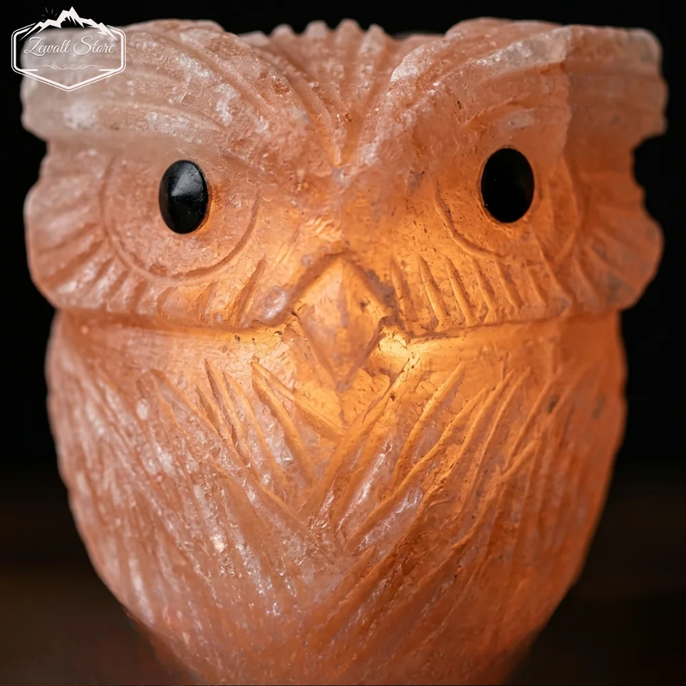 Owl Shaped Himalayan Pink Salt Lamp – 220V Natural Crystal Lamp (2–3 KG) - Image 6