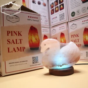 Duck Shaped USB Himalayan Pink Salt Lamp – Approx. 1 KG | RGB Crystal Night Lamp