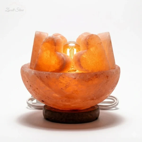 Bowl Shaped Himalayan Pink Salt Lamp with Heart – 220V Natural Crystal Lamp (2–3 KG)