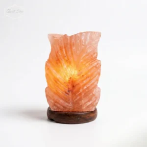 Double Leaf Shaped Himalayan Pink Salt Lamp – 220V, 1–2 KG